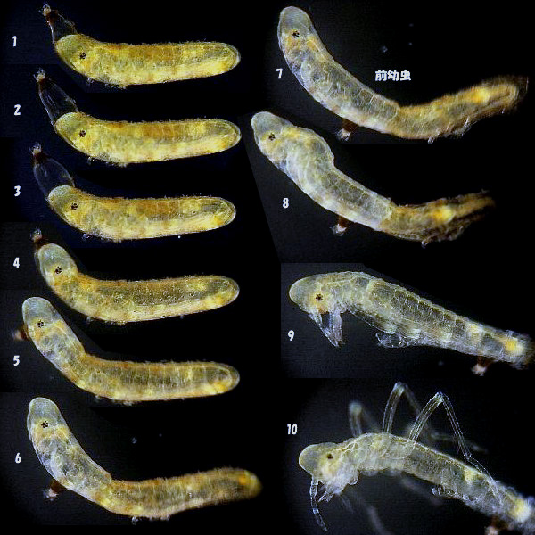 �q�k�}�C�g�g���{�̛z��