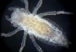 �R�I�j�����}��1��c��