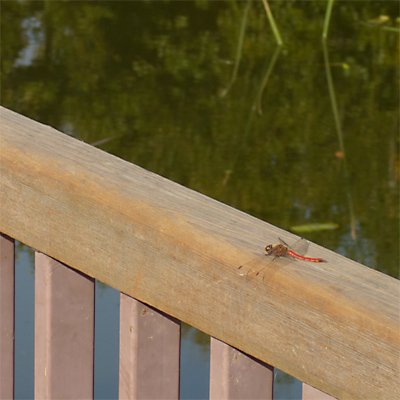 �A�L�A�J�l