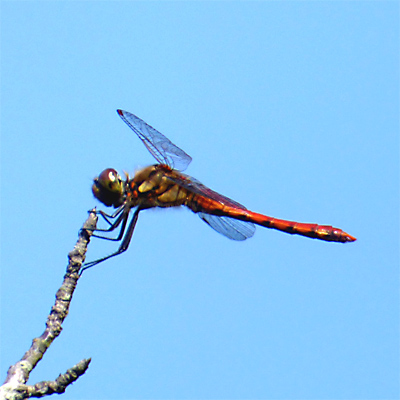 �A�L�A�J�l��