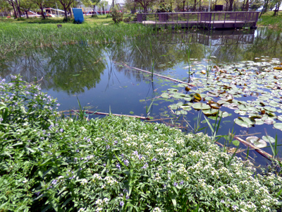 �����s���������r�I�g�[�v�r