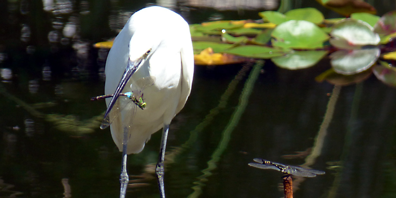 �M�������}