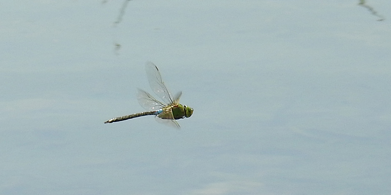 �M�������}��