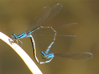 �z�\�~�C�g�g���{