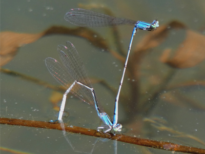 �z�\�~�C�g�g���{