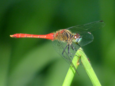 �}�C�R�A�J�l��