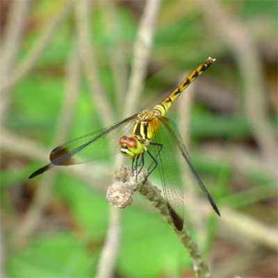 �}���^�e�A�J�l��