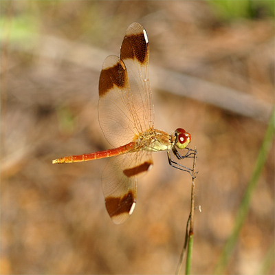 �~���}�A�J�l��