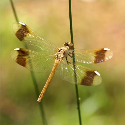 �~���}�A�J�l��