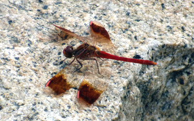 �~���}�A�J�l��