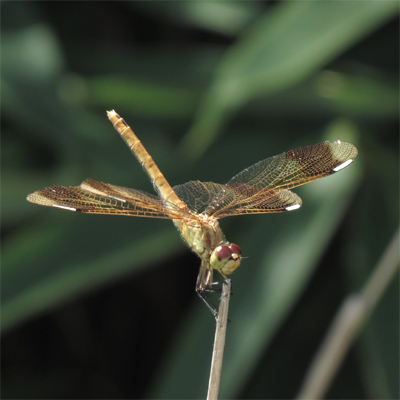 �~���}�A�J�l��