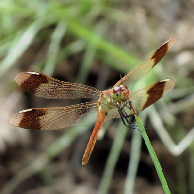 �~���}�A�J�l��