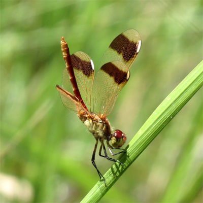 �~���}�A�J�l��