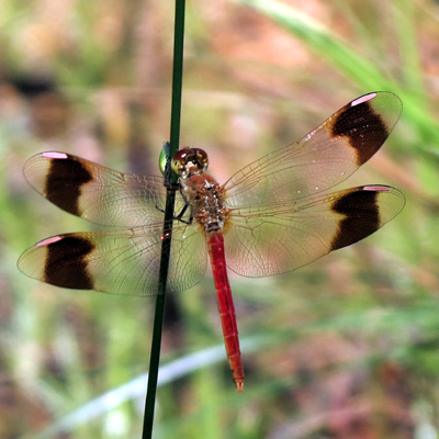 �~���}�A�J�l��