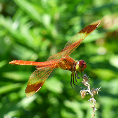 �~���}�A�J�l��