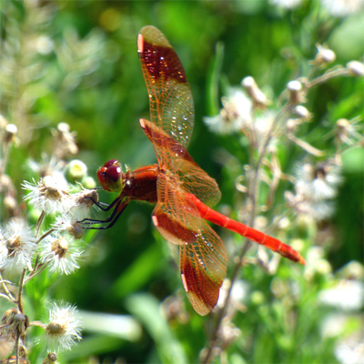 �~���}�A�J�l��