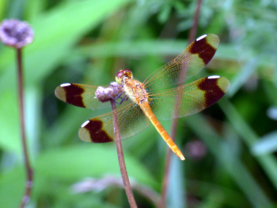 �~���}�A�J�l��