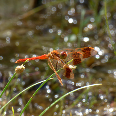 �~���}�A�J�l��