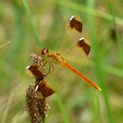 �~���}�A�J�l��