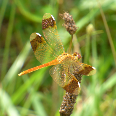 �~���}�A�J�l��