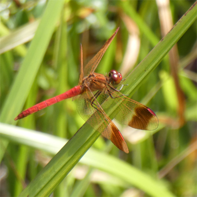 �~���}�A�J�l��