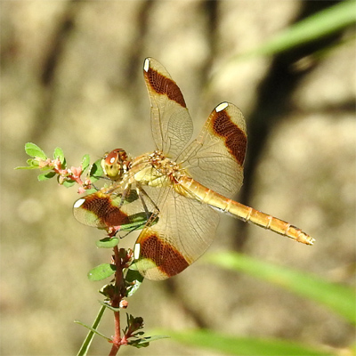 �~���}�A�J�l��