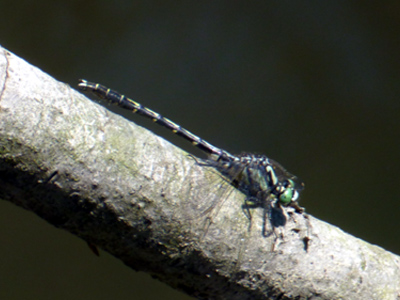 �I�O�}�T�i�G��