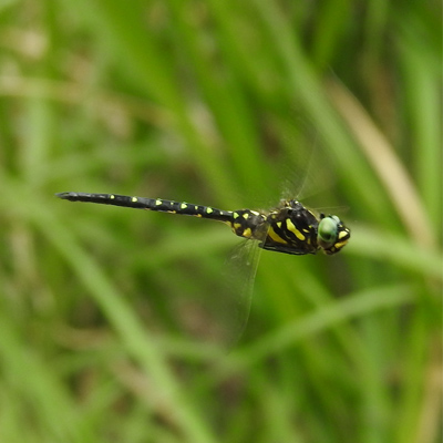 �T���T�����}��