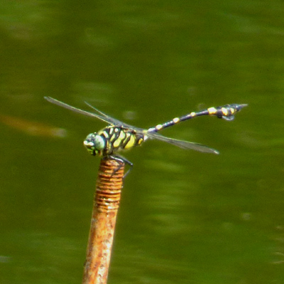 �^�C�����E�`�������}��