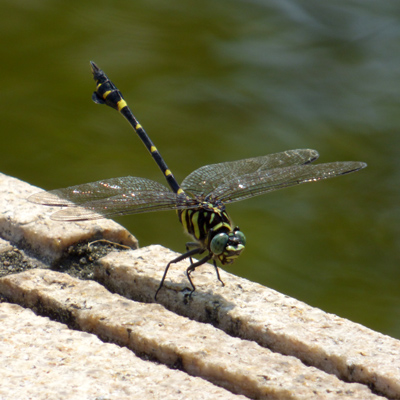 �^�C�����E�`�������}��