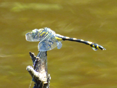 �E�`�������}��