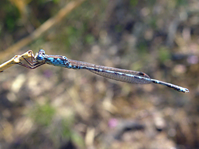 �z�\�~�I�c�l���g���{��