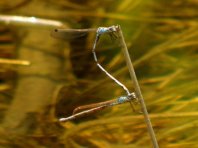 �z�\�~�I�c�l���g���{