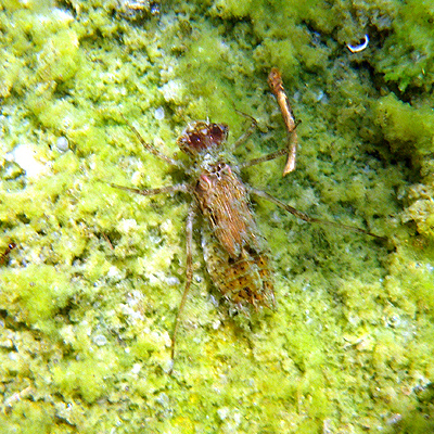 �^�C���N�A�J�l�c��