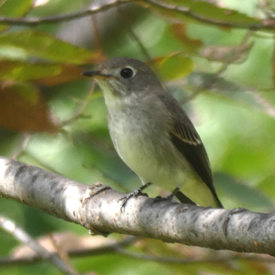 �R�T���r�^�L