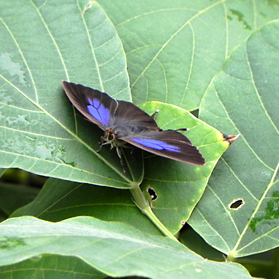 �����T�L�c�o��