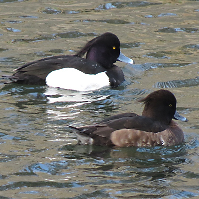 �L���N���n�W��