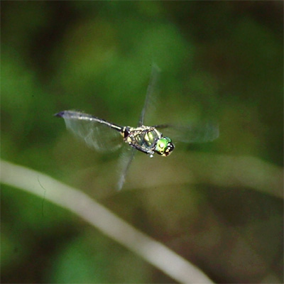 �G�]�g���{��