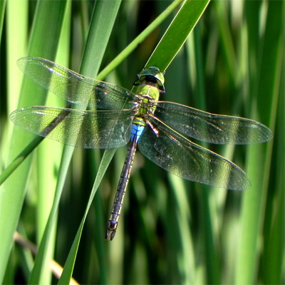 �M�������}��