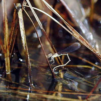 �q�k�}�C�g�g���{��