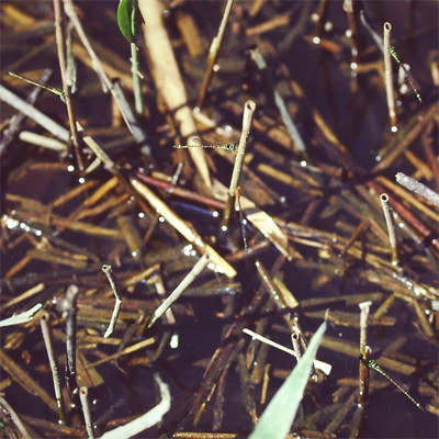 �q�k�}�C�g�g���{