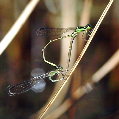 �q�k�}�C�g�g���{