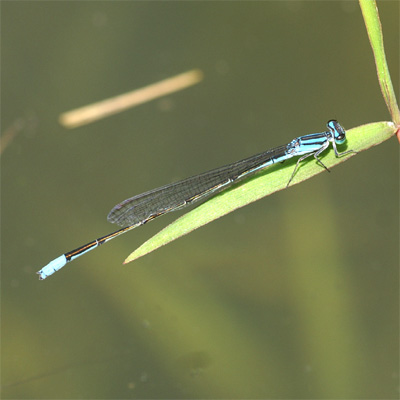 �z�\�~�C�g�g���{��