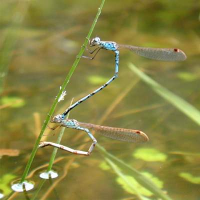 �z�\�~�I�c�l���g���{