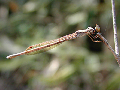 �z�\�~�I�c�l���g���{��