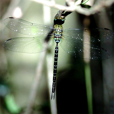 �J�g�������}��