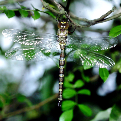 �R�V�{�\�����}��