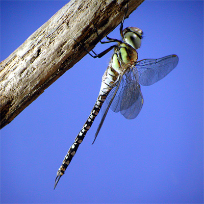 �}�_�������}��