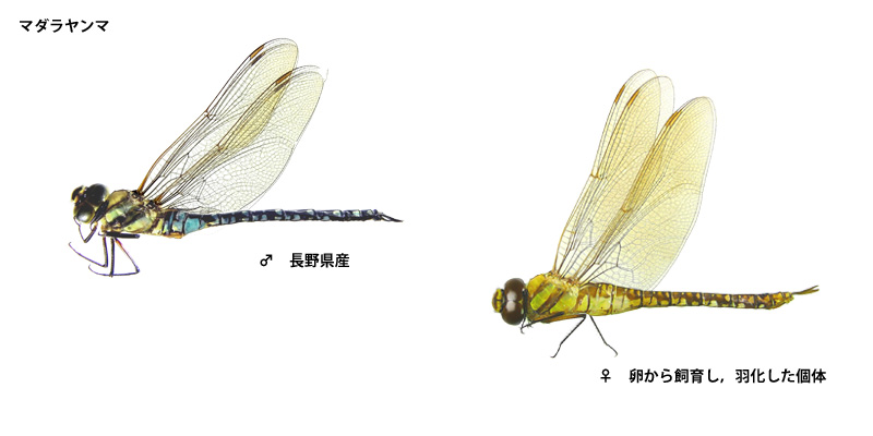 �}�_�������}