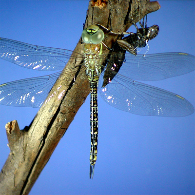 �}�_�������}��